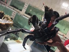 -海盗餐厅