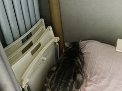 -青藤汗蒸时代会所