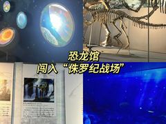-中国西峡恐龙遗迹园
