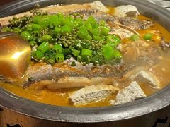 -探鱼·鲜青椒爽麻烤鱼(领展购物广场店)