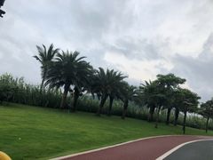 -野狸岛