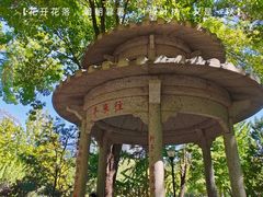 -玲珑塔公园
