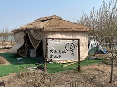 -西青郊野公园