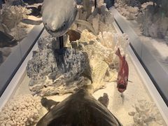-舟山博物馆