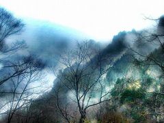 -王顺山国家森林公园