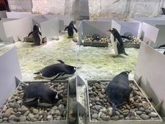 -大连圣亚海洋世界