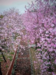 -梓爱月子中心(花都店)