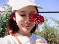 -猫米花园