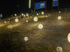 -观潮胜地公园