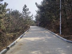 -西尖山公园