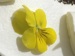 -SAYScake善食感戚风蛋糕(临江大道店)