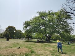 -南京市江宁方山
