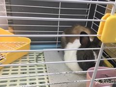 -UltraForce超源健身私教工作室(长楹天街精品店)