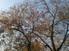 -香山公园-东宫门售票处