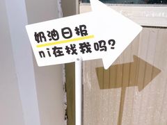 -奶油日报Journal de creme