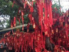 -国恩寺
