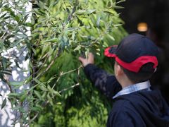 -COTTON CAFE(德信·中外公寓店)