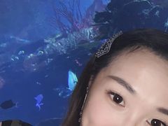 -迪拜帆船酒店海底餐厅