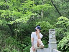 -牛背梁国家森林公园