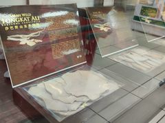 -Servay Hypermarket & Parkwell Departmental Store(SERVAY-KK PLAZA-CUP)