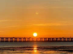 -宝安西湾红树林湿地公园