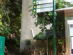 -南丫岛