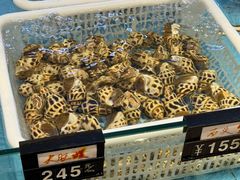 -钱山海鲜大排档