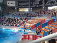 -海合安成都极地海洋公园