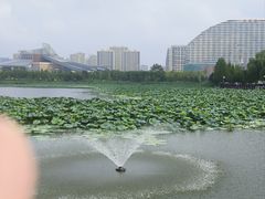 -永生號(未来城店)