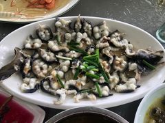 -亮河湾山庄
