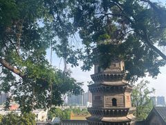 -赭山公园