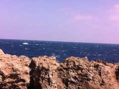 龙坑生态保护区-龙坑生态保护区