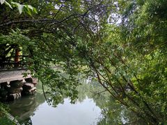 -水绘园