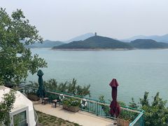 -望湖烤鱼