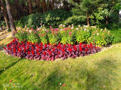 -苏州河梦清园环保主题公园