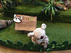 -济州岛泰迪熊博物馆