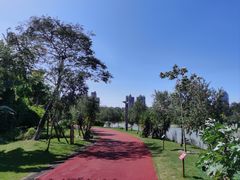 -广西壮族自治区药用植物园