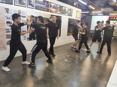 -温鉴良实用咏春拳