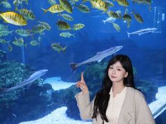 -海合安成都极地海洋公园
