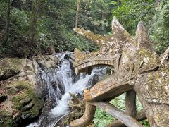 -莫里热带雨林景区