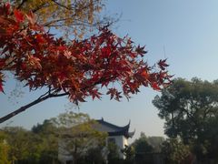 -西园戒幢律寺