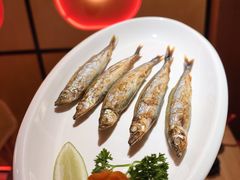 -明治屋(二十三年洪化桥店)