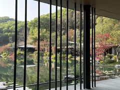 -云溪植物园