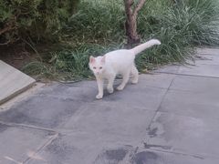 -李叔同故居纪念馆