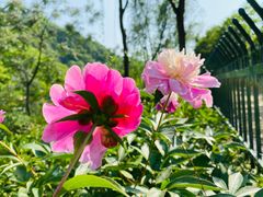 -幕燕滨江·长江观音景区