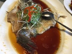 -沪碟·精菜坊(闵行店)