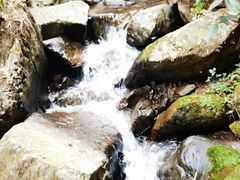 -藏龙百瀑风景区