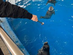 -石家庄极地海洋世界
