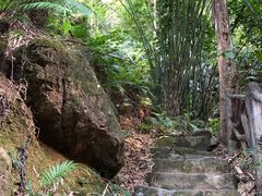 -滴水岩森林公园