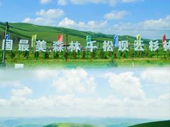 -美人谷景区